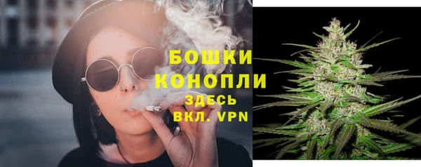 a pvp Пересвет