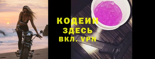 a pvp Пересвет