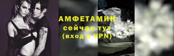 a pvp Пересвет
