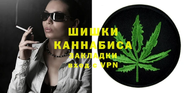 a pvp Пересвет