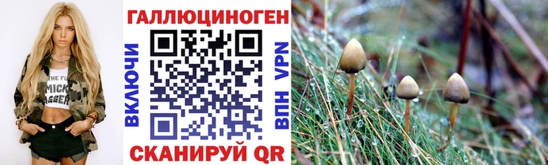 Галлюциногенные грибы мухоморы  Руза 